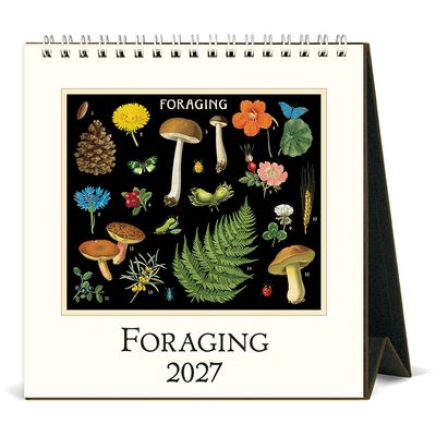 Cavallini Foraging 2027 Desk Calendar