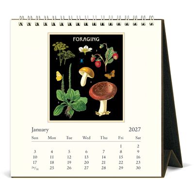 Cavallini Papers &amp; Co. Foraging 2027 Desk Calendar