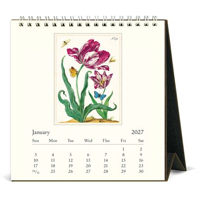 Cavallini Papers &amp; Co. Flora &amp; Fauna 2027 Desk Calendar