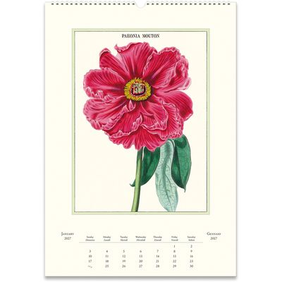 Cavallini Papers &amp; Co. Botanica 2027 Wall Calendar