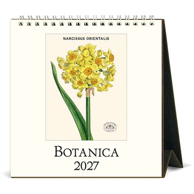 Cavallini Botanica 2027 Desk Calendar