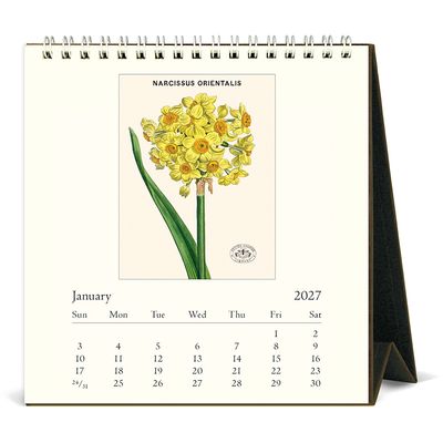Cavallini Papers &amp; Co. Botanica 2027 Desk Calendar