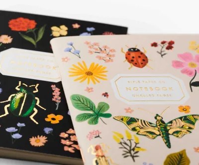 Pair of Curio Pocket Notebooks