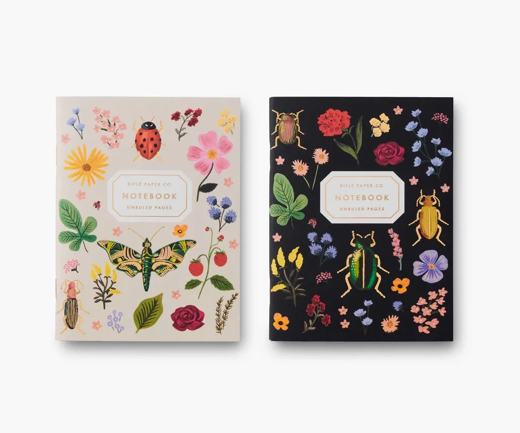 Pair of Curio Pocket Notebooks