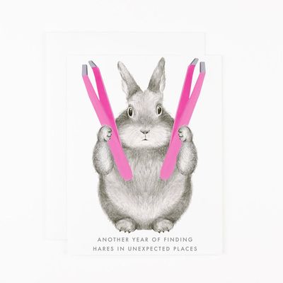 Another Year Hares Birthday Card