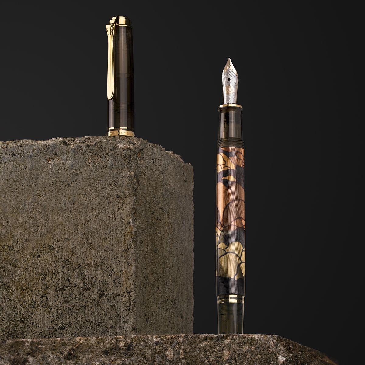 Pelikan Souverän M600 Pelikan Art Collection Fountain Pen - Georg Tippel