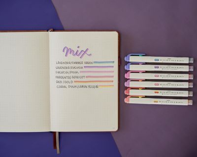 Zebra Mildliner Mix Highlighter