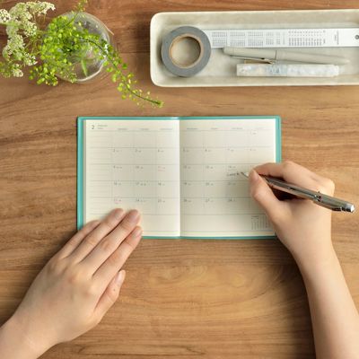 Egg Toast Square Weekly Diary 2027 Mint