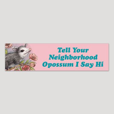I Say Hi Opossum Bumper Sticker