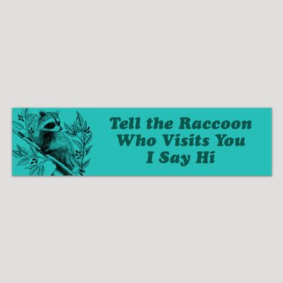 I Say Hi Raccoon Bumper Sticker