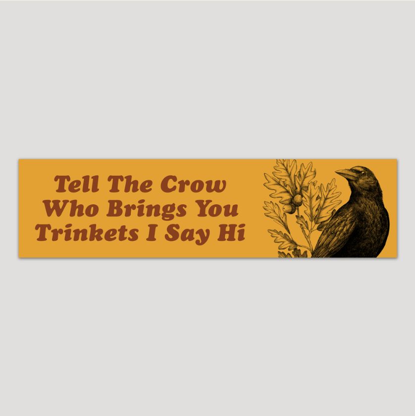 I Say Hi Crow Bumper Sticker