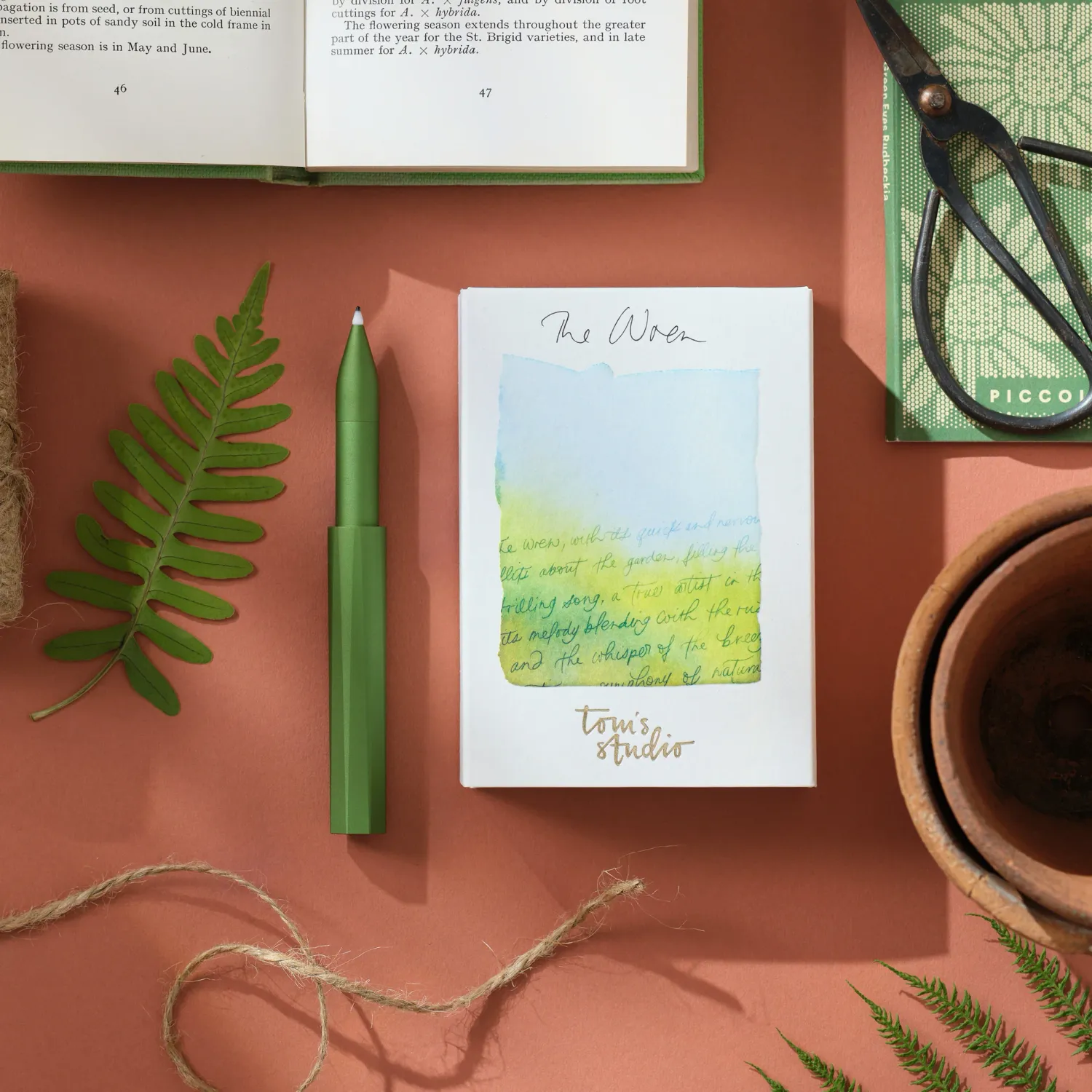 Tom's Studio The Wren Botanica