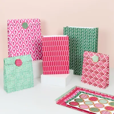Meri Meri x Molly Mahon Paper Gift Bags (pack of 10)