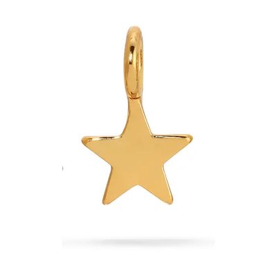 Charm Garden Star Charm