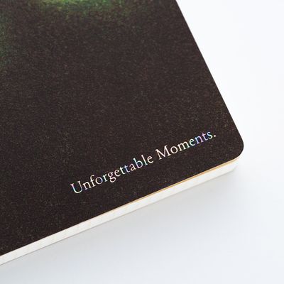Hobonichi Landscape B6 Notebook Akiko Miyakoshi: I Dream of a Journey