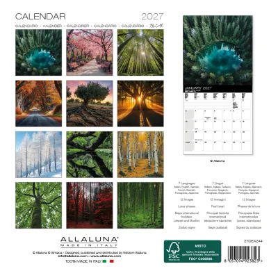 Magic Trees 2027 7x7 Allaluna Calendar