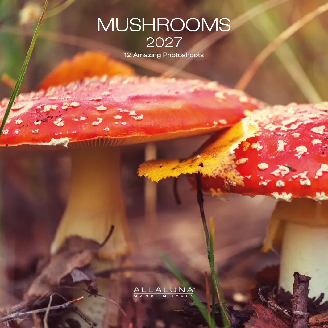 Mushrooms 2027 7x7 Allaluna Calendar