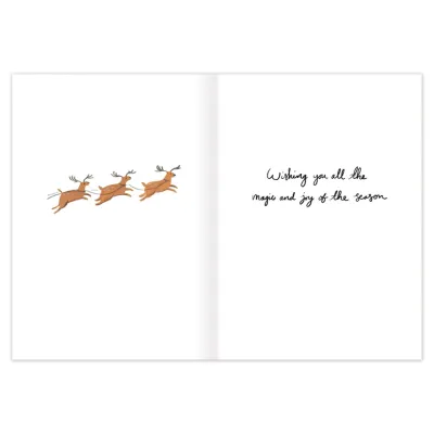 Santa in Flight Holiday Cards (box of 10)