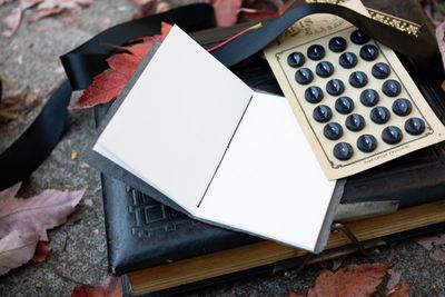 Oblation The Ink and the Crow Pocket Journal