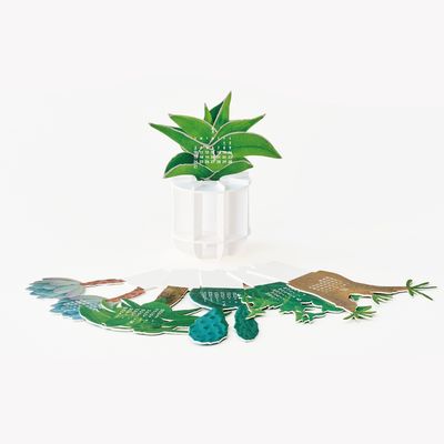 Good Morning Inc. 2027 Green Pop Up Calendar