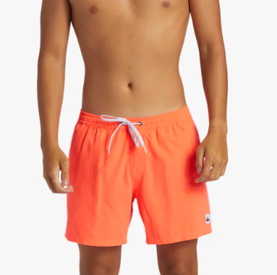 Quiksilver Everyday 15 Men's Volley Quiksilver Everyday 15 Men's Volley