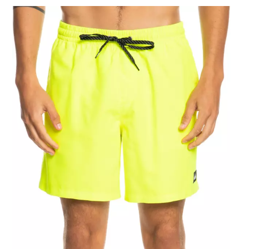 Quiksilver Everyday Volley 17 Men's Swim Trunks