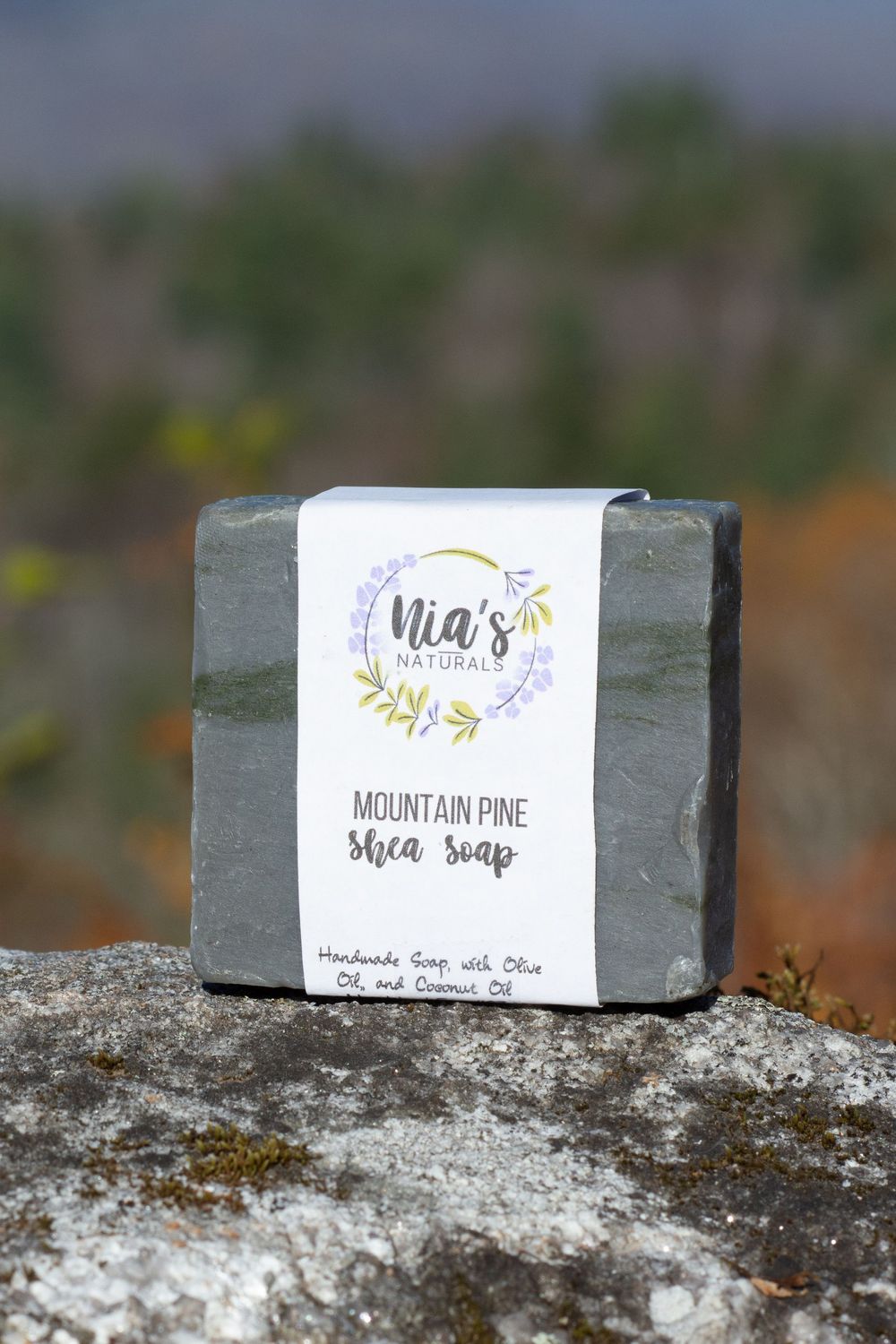 Mountain Pine