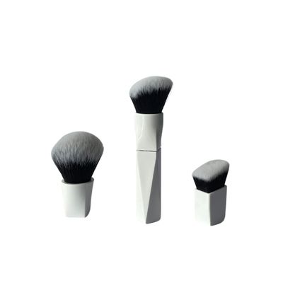 Magnet Brush 3 en 1