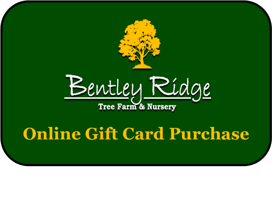 Bentley Ridge Gift Card