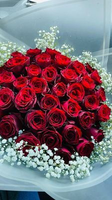 40 Red Roses With Gyp