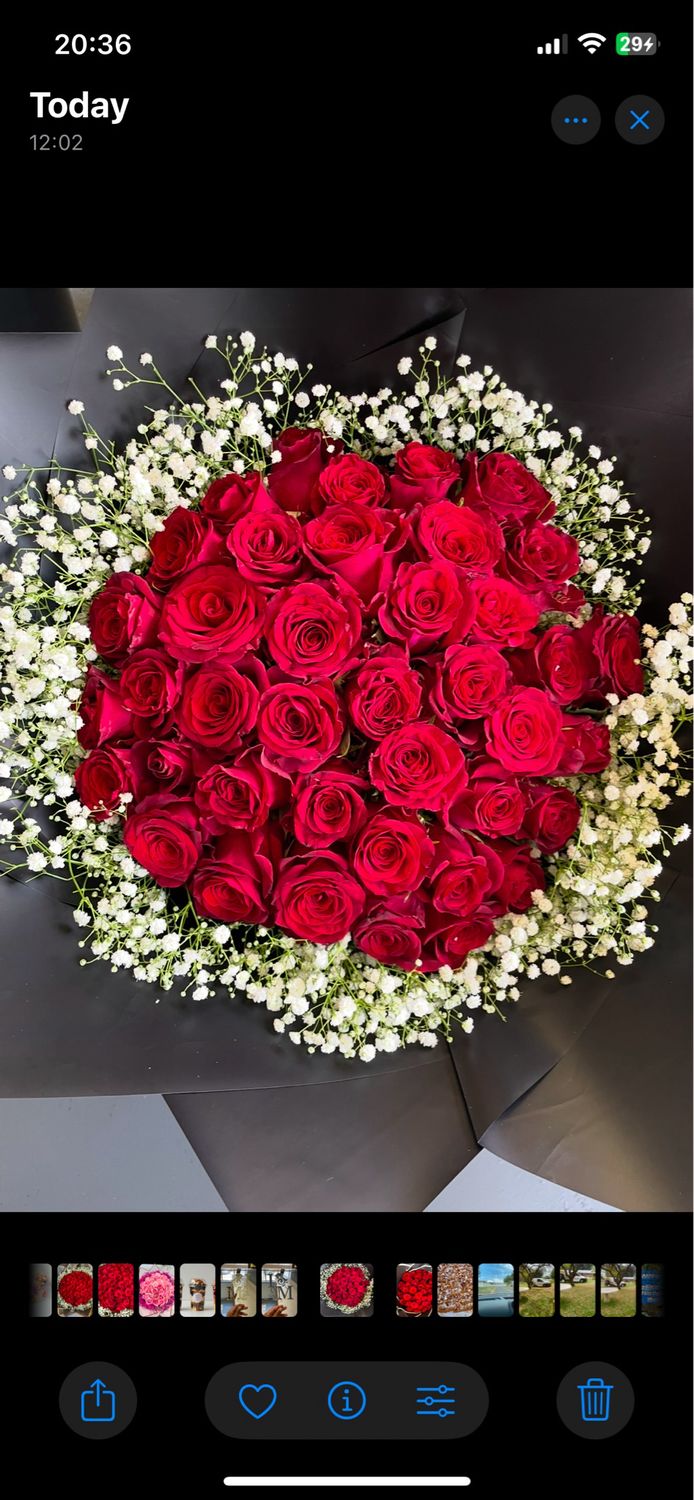 40 Red Roses With Gyp