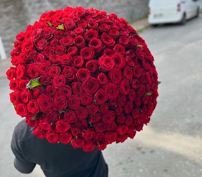 150 Imported Red  Roses