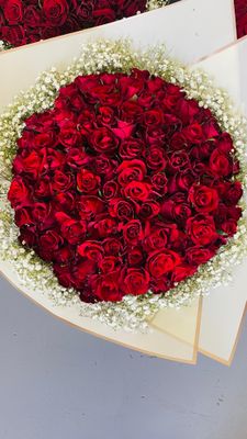 100 Red roses with Gyp