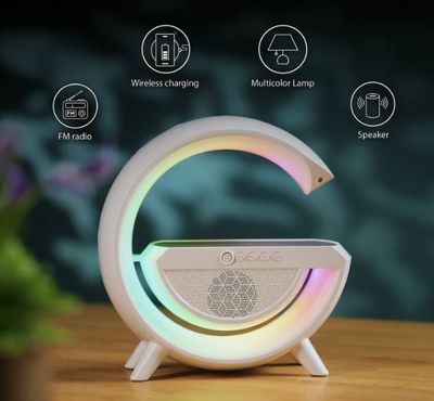 G SHAPED SPEAKERS