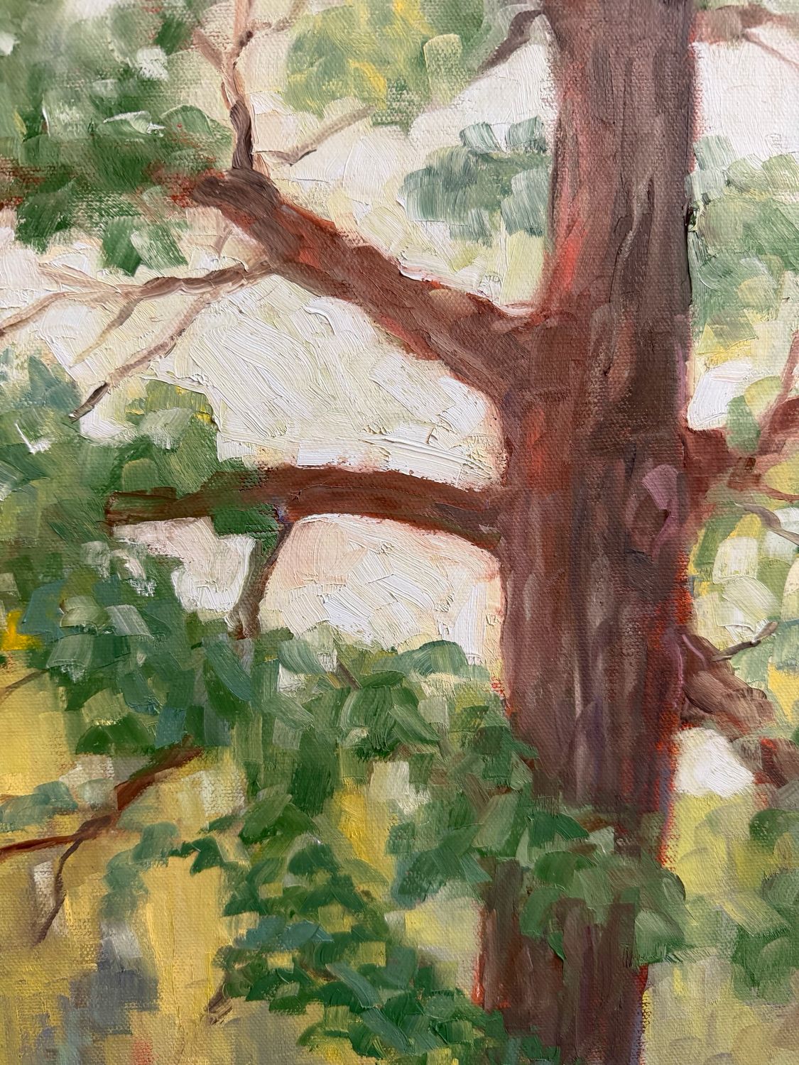 “Willow Creek”