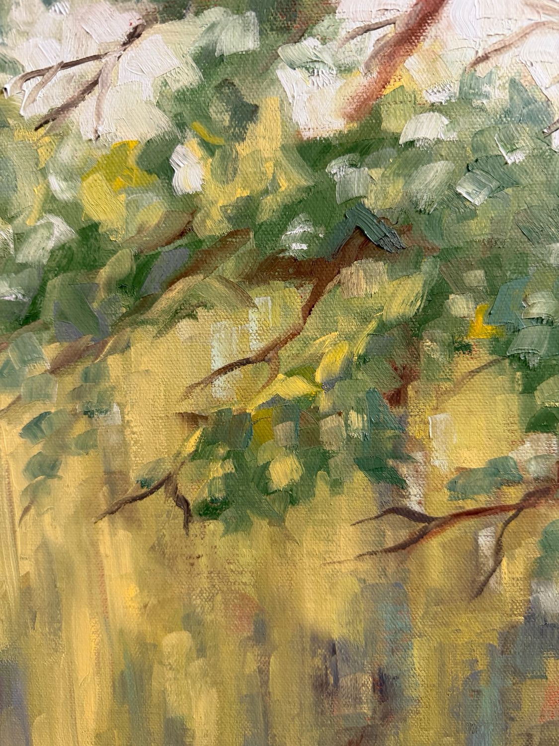 “Willow Creek”