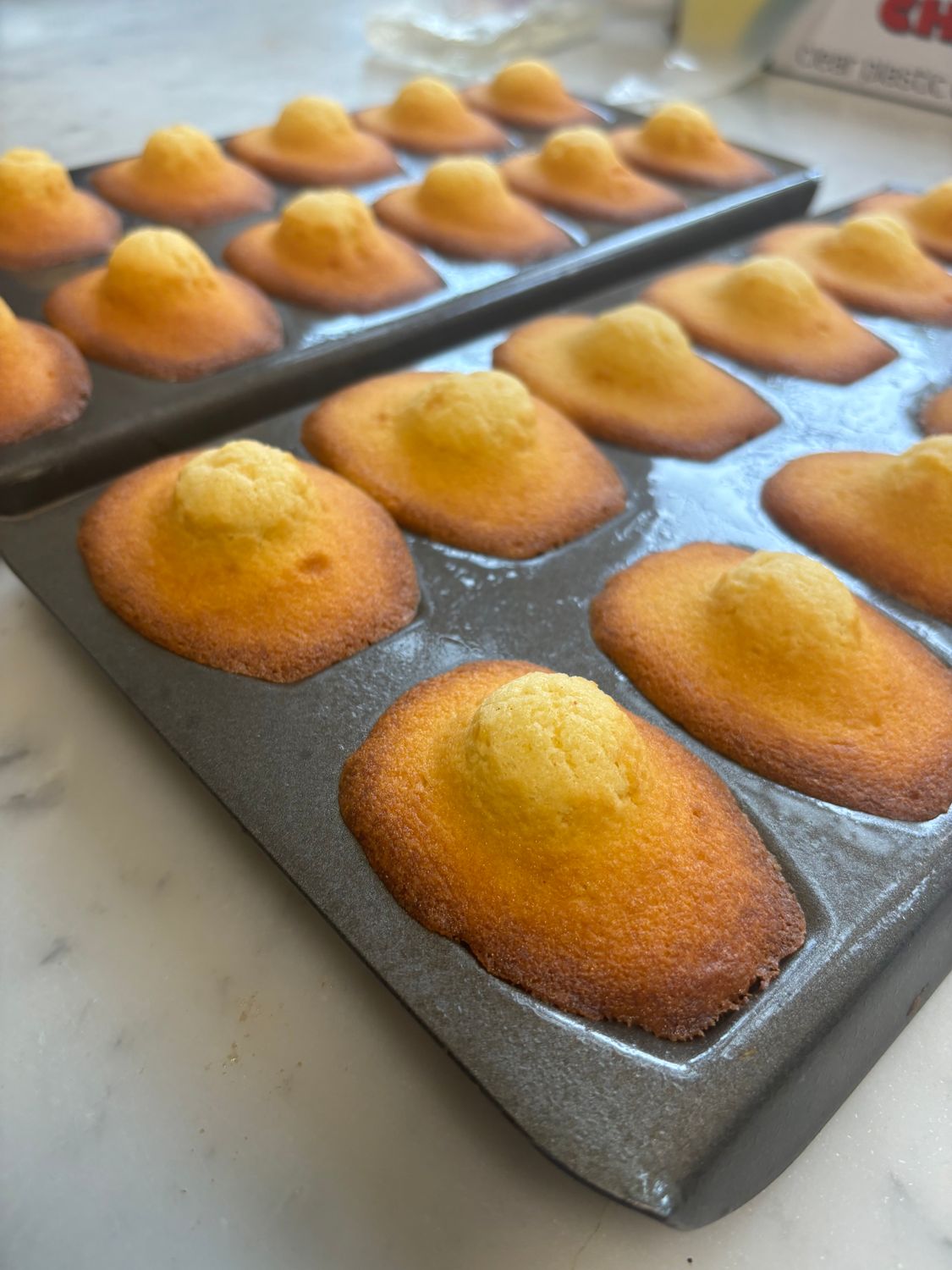 Madeleine (FR/EN)