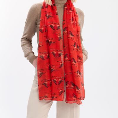 Robin Scarf