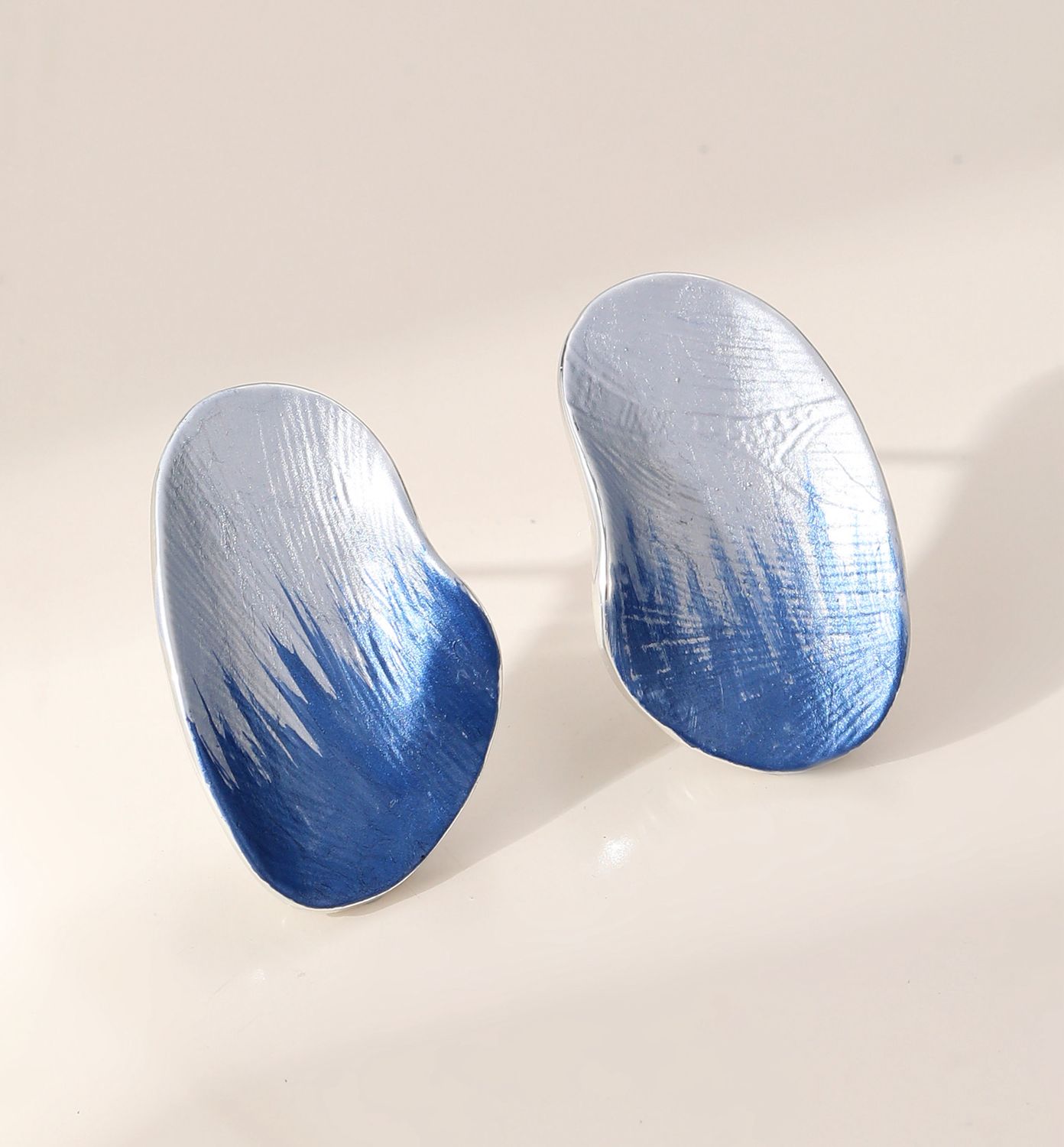 Two Tone Blue Earrings