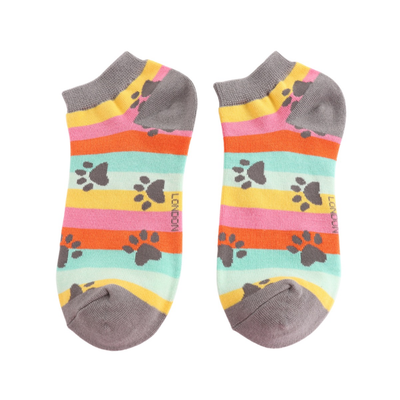 Paw Print Rainbow Stripe Trainer Socks