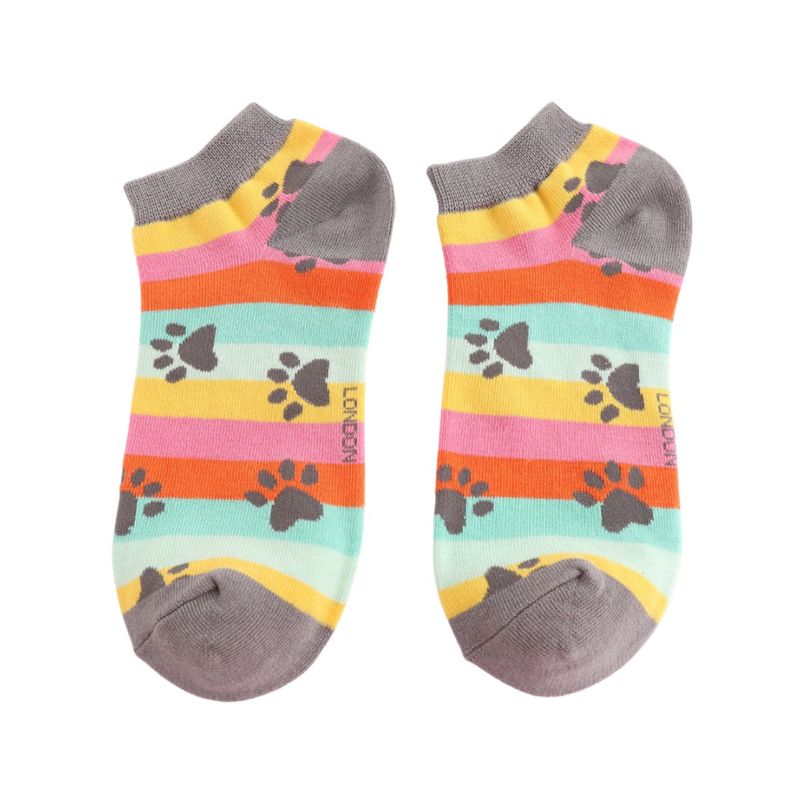 Paw Print Rainbow Stripe Trainer Socks