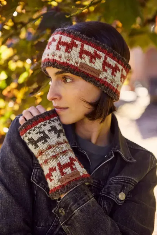 Walking The Dog Headband