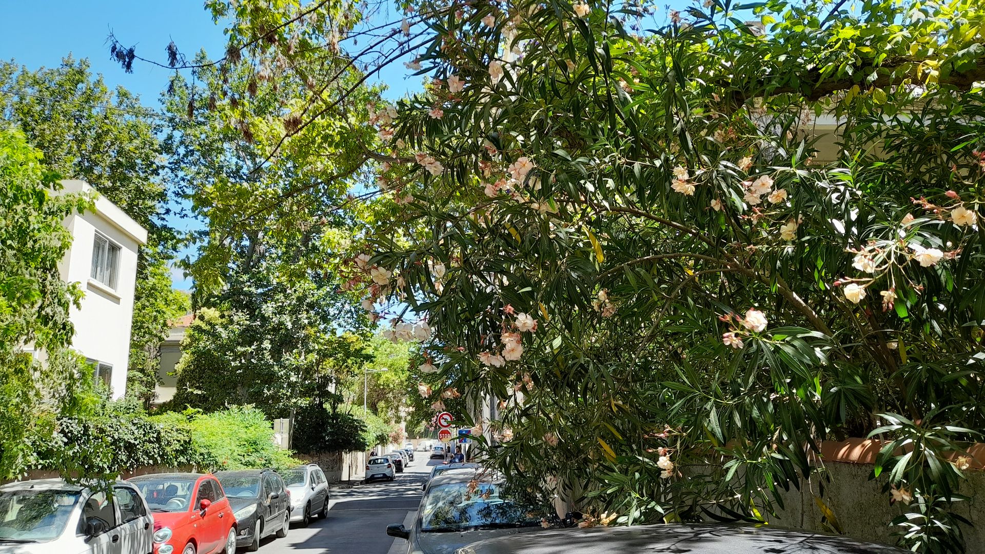 Immeuble Montpellier Boutonnet