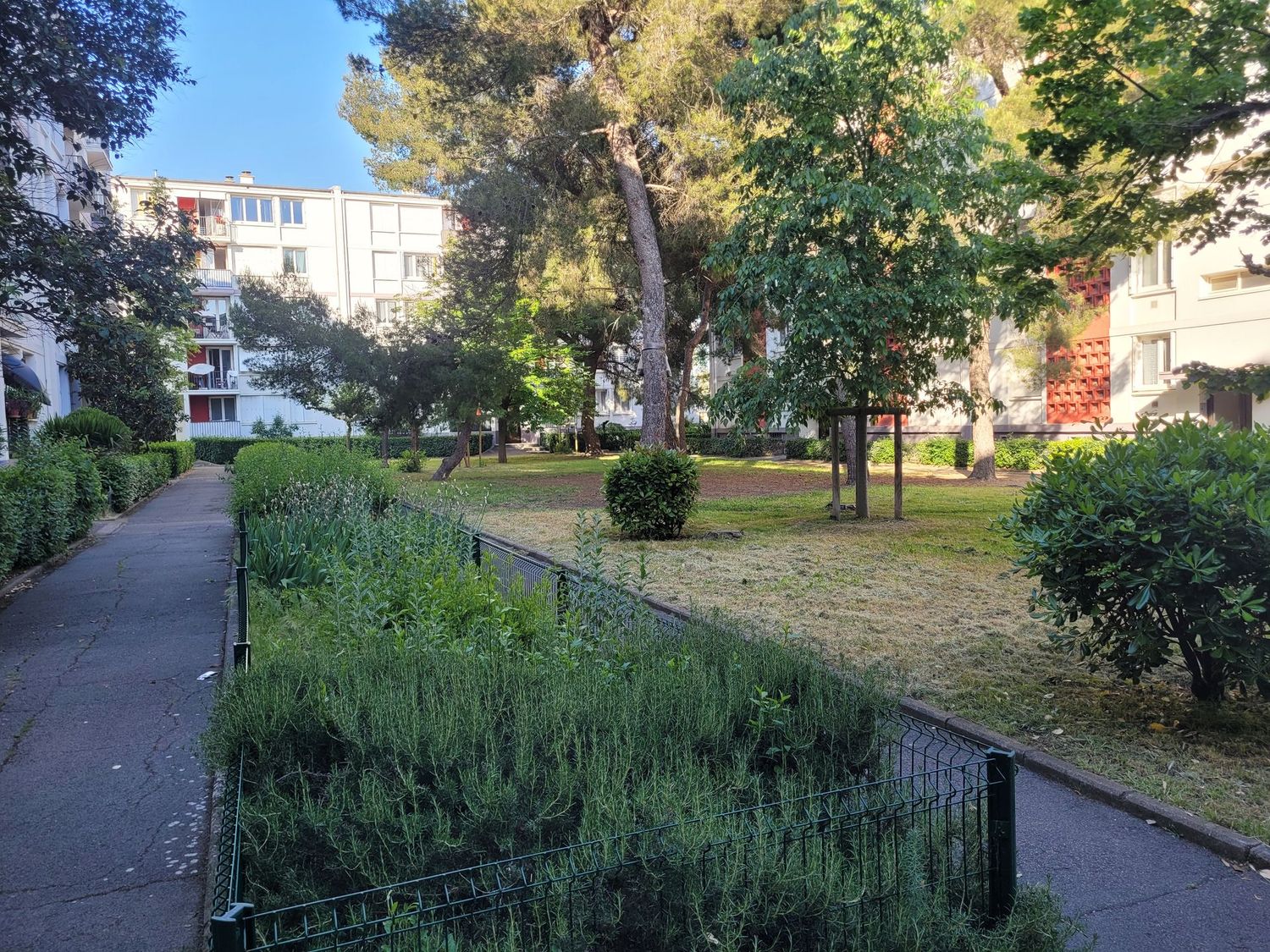 F3 Montpellier Ouest