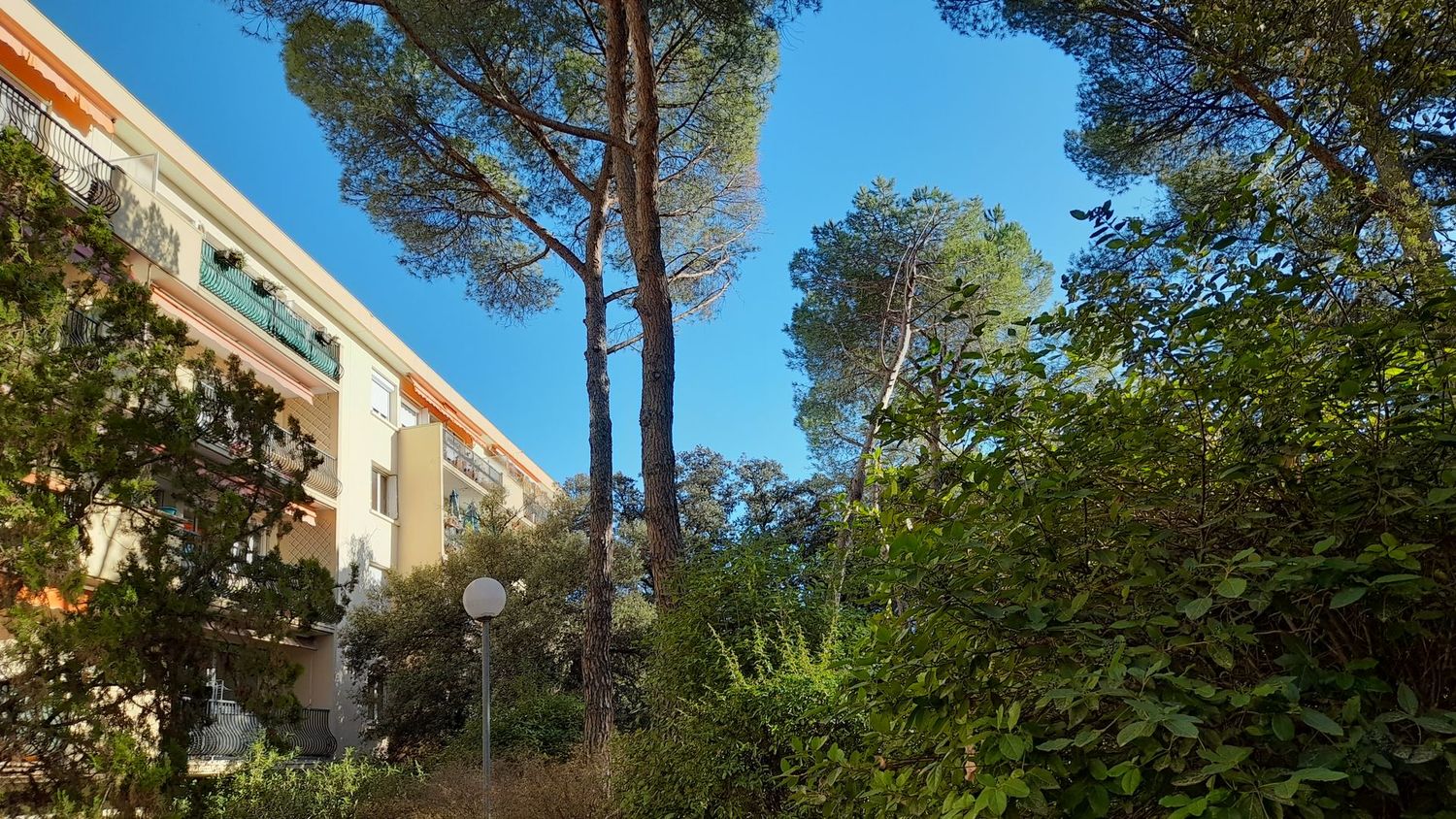 F4 Montpellier Hôpitaux Facultés