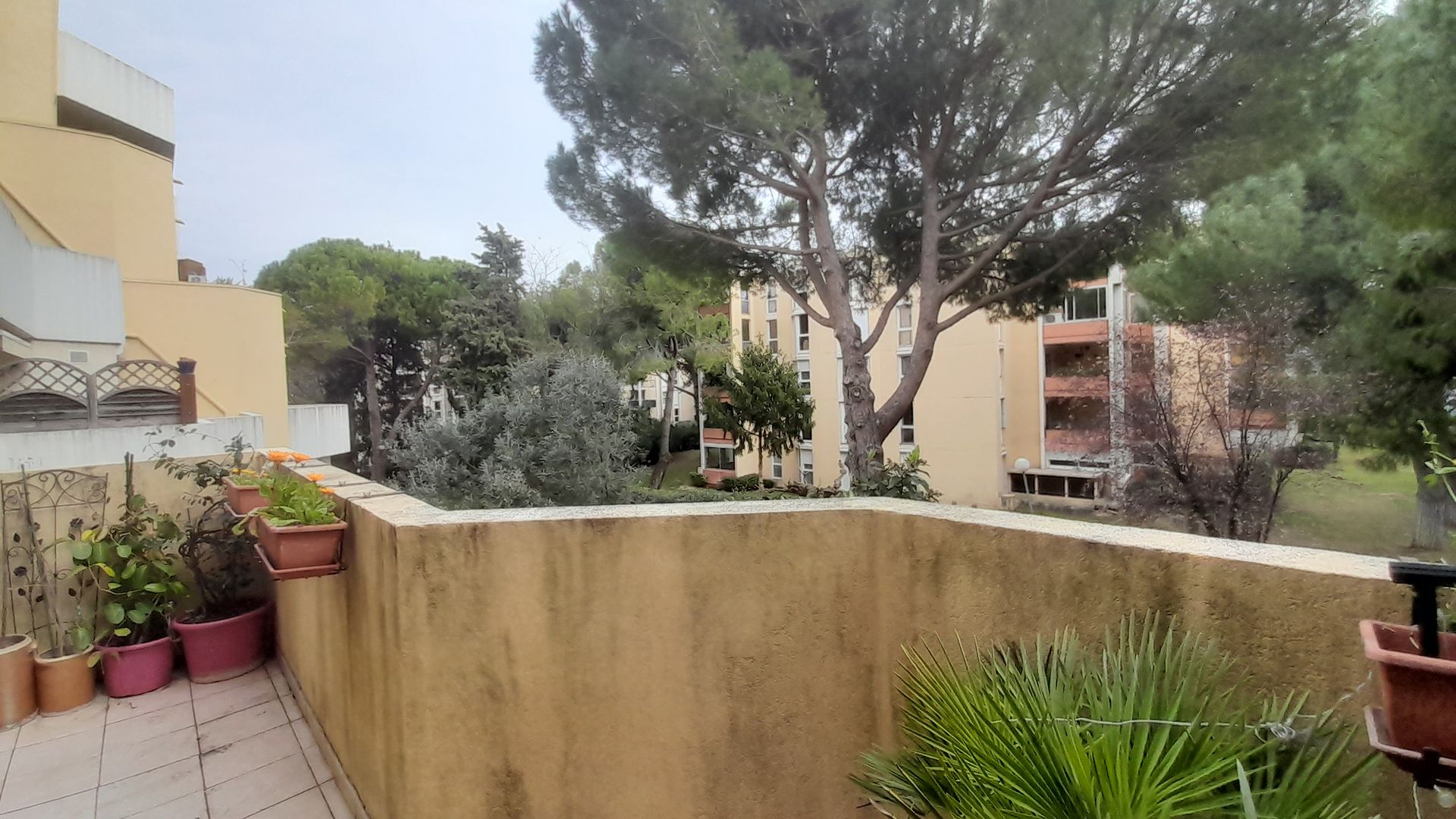 F4 Montpellier Rue de Fontcouverte
