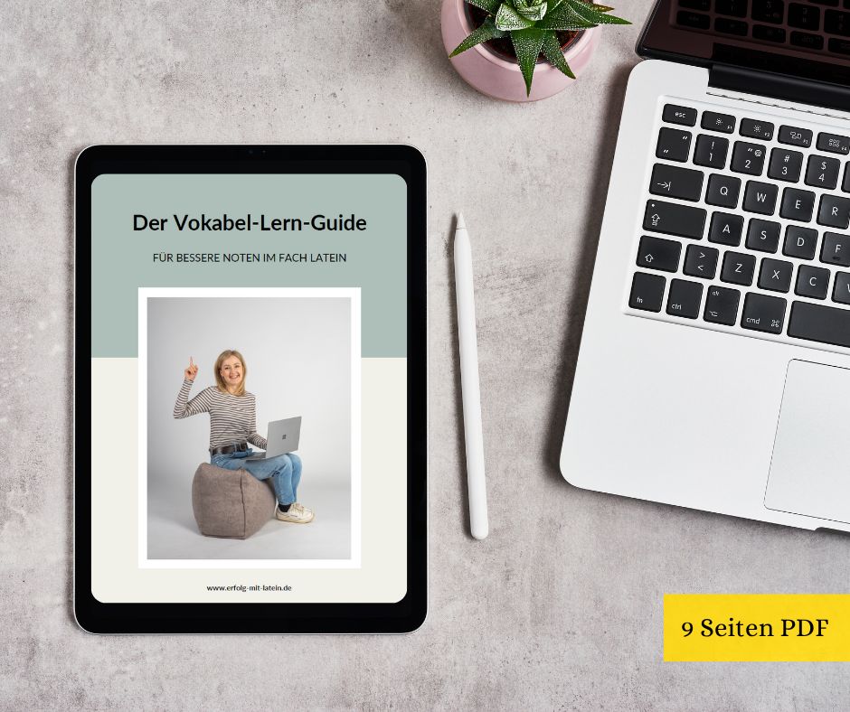 Vokabel-Lern-Guide