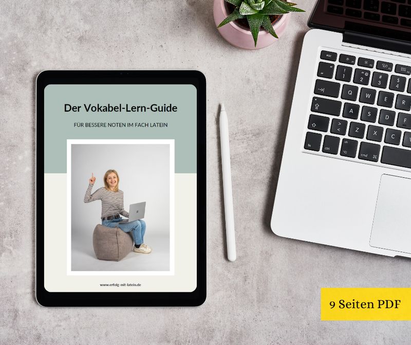 Vokabel-Lern-Guide