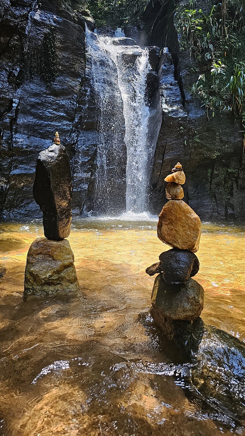 Tijuca Forest Waterfall tour + Transportation