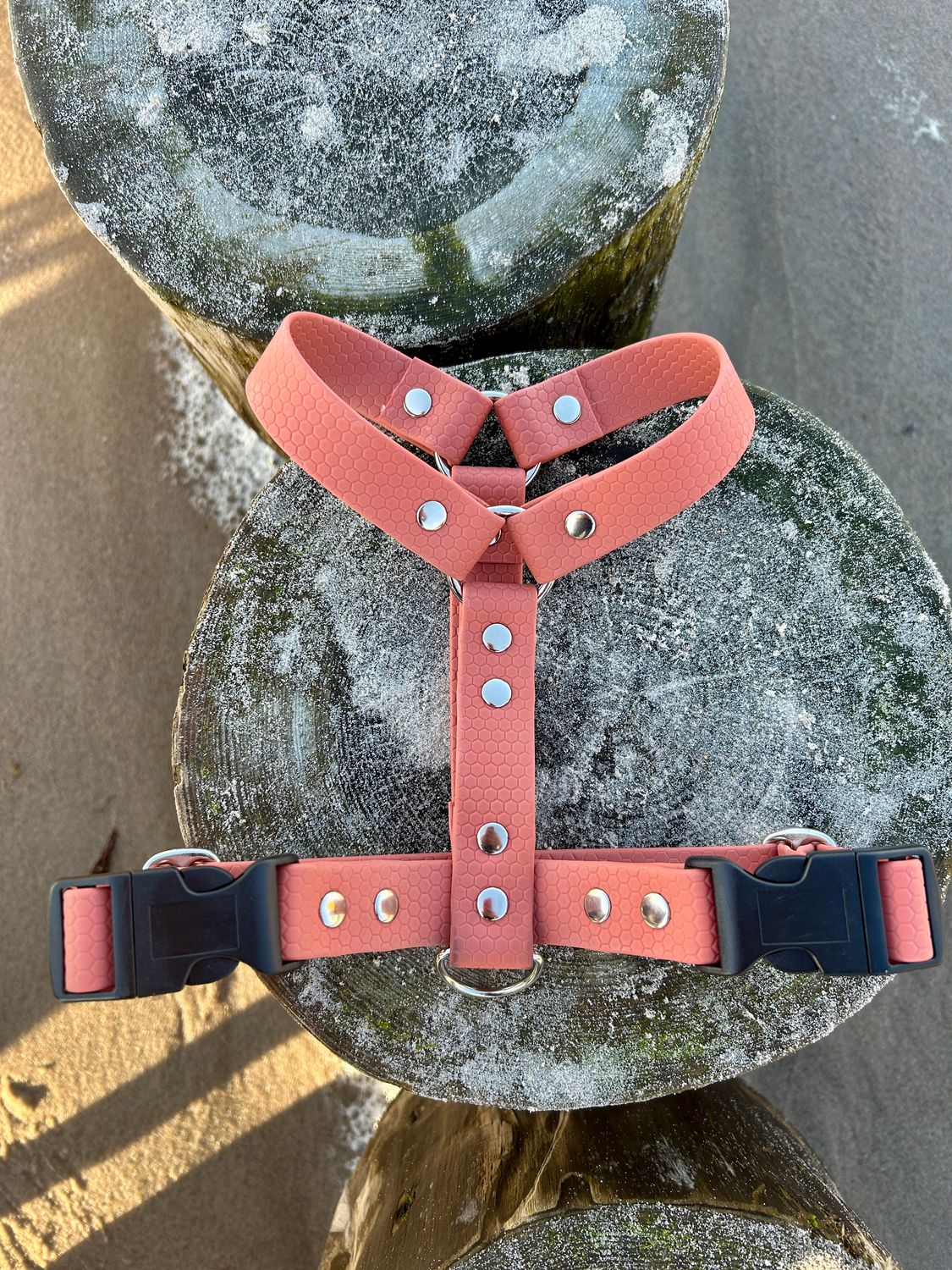 Szelki guard 20mm (rozmiar S, M)